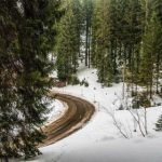 JAPANESE55丰满成熟 81b610