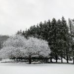 狠狠久久噜噜熟女 89gm1