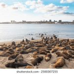 BT天堂种子搜索 9selv90m