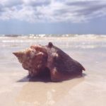 japanese48mature成熟 e72u8pz