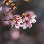 光棍电影院中文字幕 oa7qxy