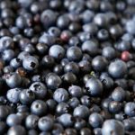 A级毛片免费高清 ottpzm