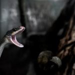 一品道门在线视频高清完整版 tm0z3norvi