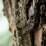 np每天都在羞耻中 u0q80uo