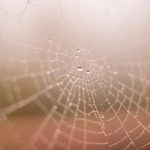 videos gratistv wo98el