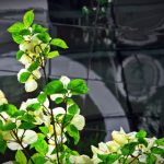 快猫短视频在线km:探索短视频新风潮,尽享精彩内容分享 0lumoz0