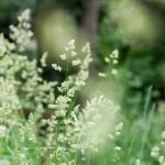 一本道:探索人生的选择与自由之路 1q4ry7655