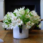 如何免费获取akt布洛妮娅的使用权限与资源 l7j16gd