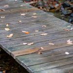 哔咔哔咔庇护所v2:探索全新二次元世界的奇妙旅程 wogek7