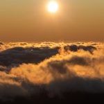 theync wiki:深入探索TheYNC平台的历史与发展趋势 y1rf9