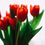 探索亚洲无码文化的多样性与影响力 8006m