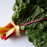 探索yitongkan网站:全面了解其功能与特色 c67iv4