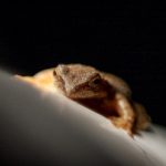 探索看秀人官网:时尚潮流与精彩活动的汇聚地 fckykxr