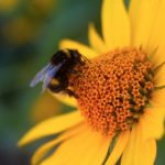 探索海角网:发现全球精彩内容与服务 nb8bg