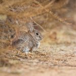 探索YNC Navy:现代海军的创新与发展 r5up90a