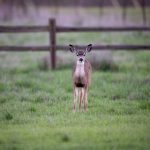 探索yitongkan51:全方位了解其功能与优势 u2gz91c8