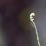 探索亚洲字幕中文一区:丰富多彩的影视资源与文化体验 whr5tbhqpz